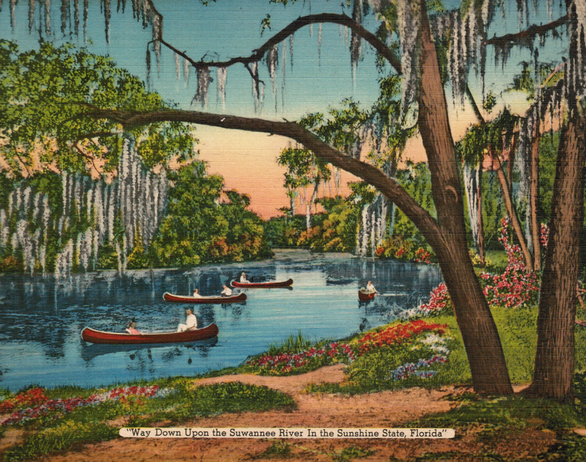 Suwanee River, Florida: Giant Postcard