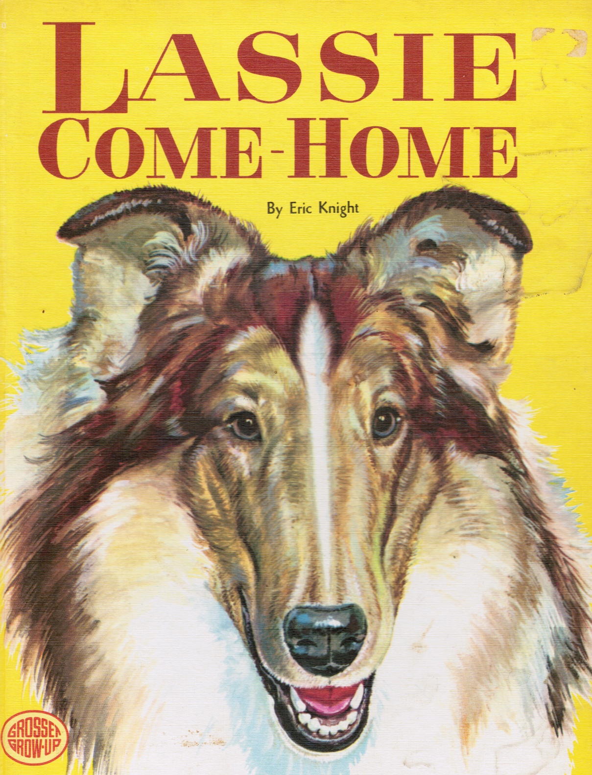 book lassie come home